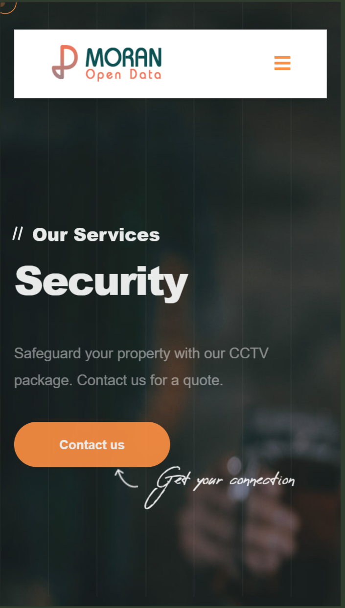 portfolio details image